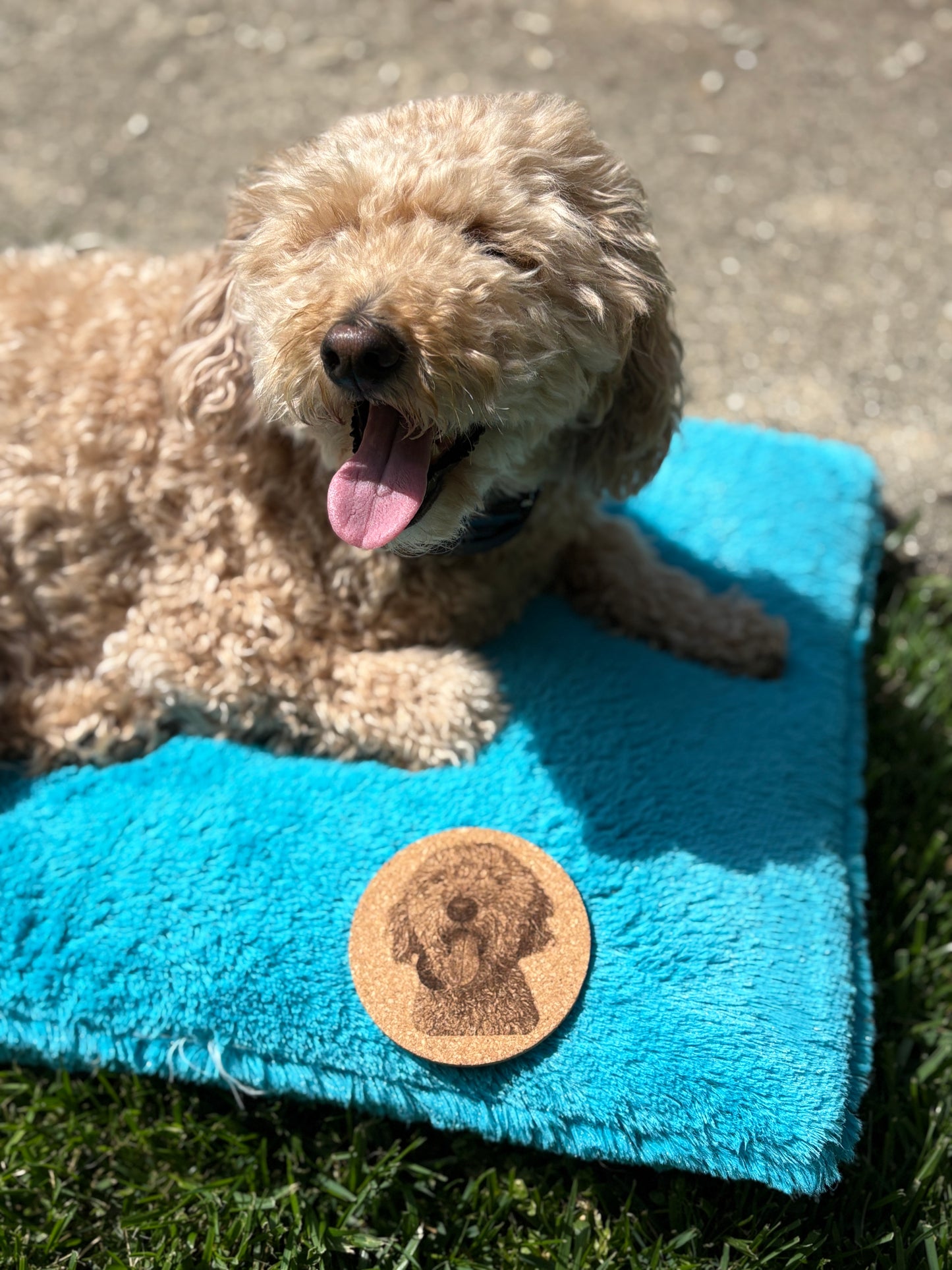 Photo of dog, with dog coaster